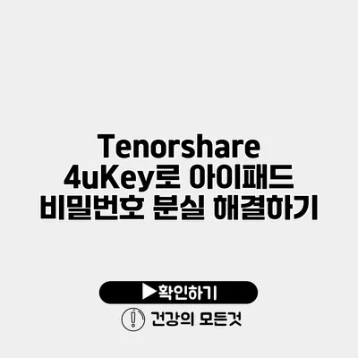 Tenorshare 4uKey로 아이패드 비밀번호 분실 해결하기
