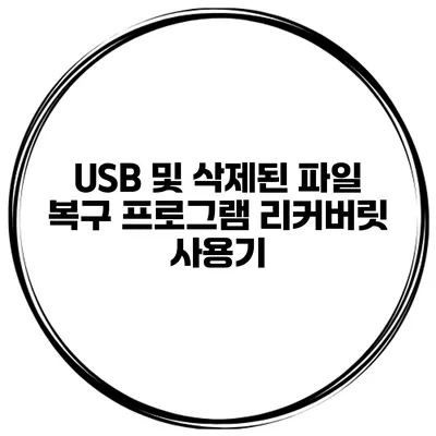 USB 및 삭제된 파일 복구 프로그램 리커버릿 사용기