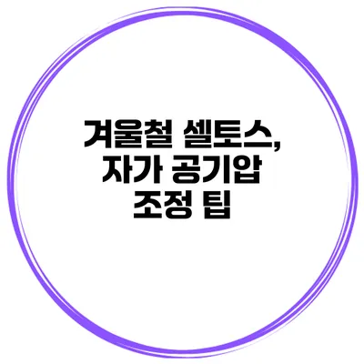 겨울철 셀토스, 자가 공기압 조정 팁