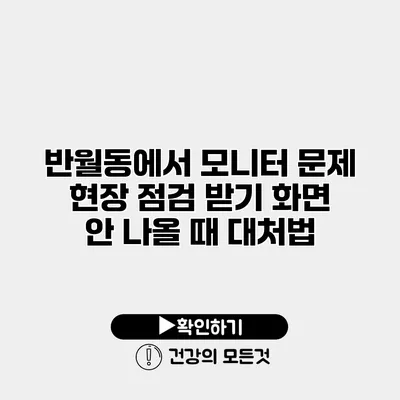 반월동에서 모니터 문제 현장 점검 받기 화면 안 나올 때 대처법