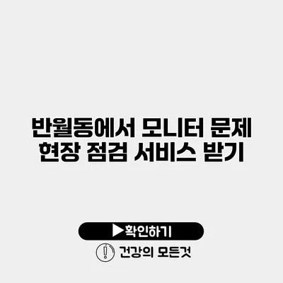 반월동에서 모니터 문제 현장 점검 서비스 받기