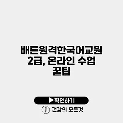 배론원격한국어교원 2급, 온라인 수업 꿀팁