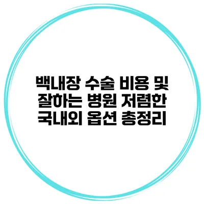 백내장 수술 비용 및 잘하는 병원 저렴한 국내외 옵션 총정리