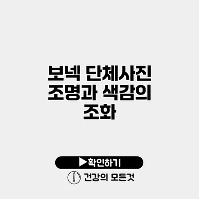 보넥 단체사진 조명과 색감의 조화