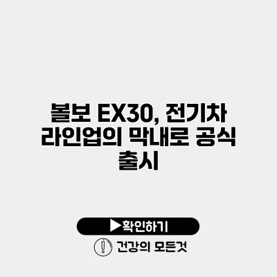 볼보 EX30, 전기차 라인업의 막내로 공식 출시