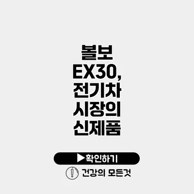 볼보 EX30, 전기차 시장의 신제품