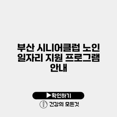 부산 시니어클럽 노인 일자리 지원 프로그램 안내