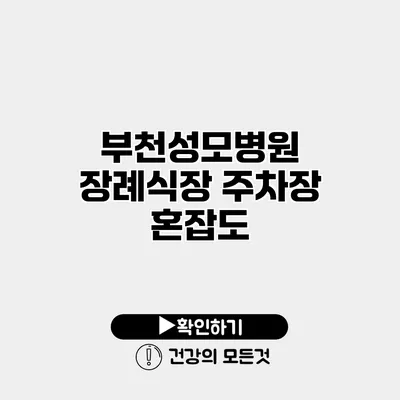 부천성모병원 장례식장 주차장 혼잡도