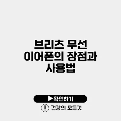 브리츠 무선 이어폰의 장점과 사용법