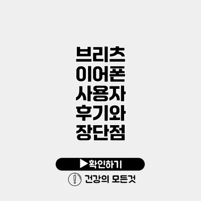 브리츠 이어폰 사용자 후기와 장단점