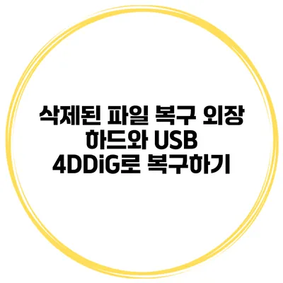 삭제된 파일 복구 외장 하드와 USB 4DDiG로 복구하기