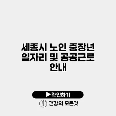 세종시 노인 중장년 일자리 및 공공근로 안내