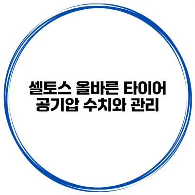 셀토스 올바른 타이어 공기압 수치와 관리