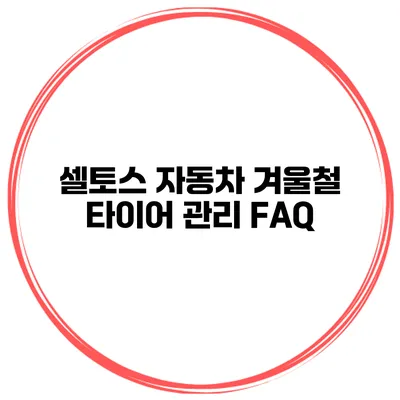셀토스 자동차 겨울철 타이어 관리 FAQ
