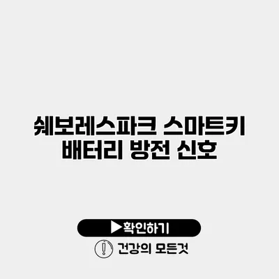 쉐보레스파크 스마트키 배터리 방전 신호