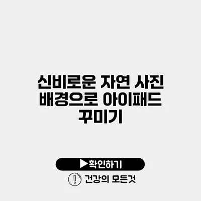 신비로운 자연 사진 배경으로 아이패드 꾸미기
