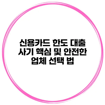 신용카드 한도 대출 사기 핵심 및 안전한 업체 선택 법