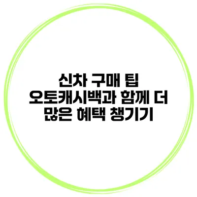 신차 구매 팁 오토캐시백과 함께 더 많은 혜택 챙기기