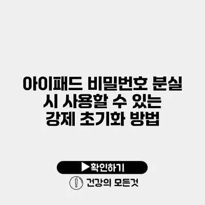 아이패드 비밀번호 분실 시 사용할 수 있는 강제 초기화 방법