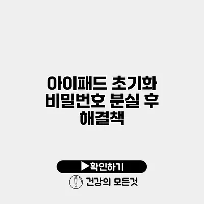 아이패드 초기화 비밀번호 분실 후 해결책
