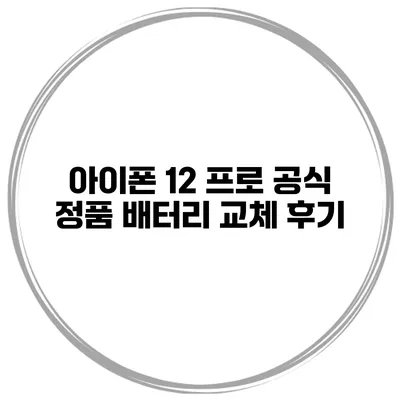 아이폰 12 프로 공식 정품 배터리 교체 후기