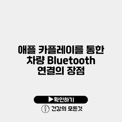 애플 카플레이를 통한 차량 Bluetooth 연결의 장점