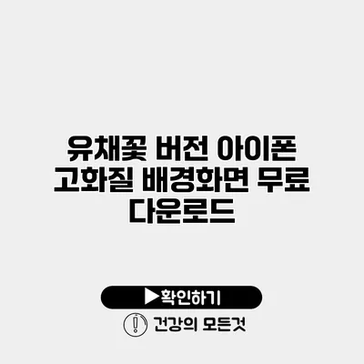 유채꽃 버전 아이폰 고화질 배경화면 무료 다운로드