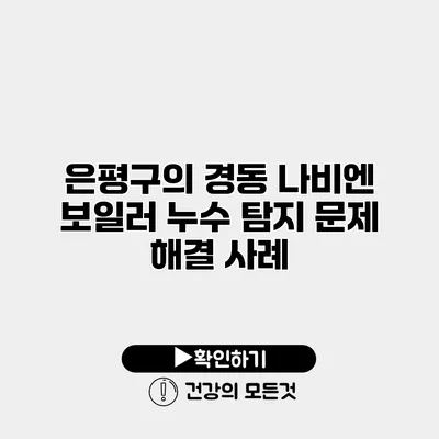 은평구의 경동 나비엔 보일러 누수 탐지 문제 해결 사례