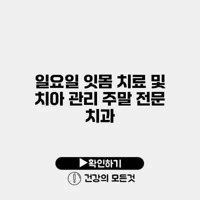 일요일 잇몸 치료 및 치아 관리 주말 전문 치과