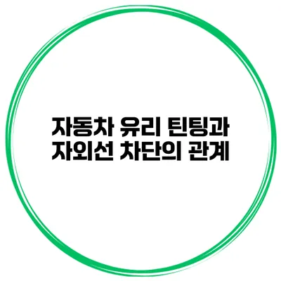 자동차 유리 틴팅과 자외선 차단의 관계