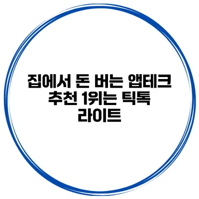 집에서 돈 버는 앱테크 추천 1위는 틱톡 라이트