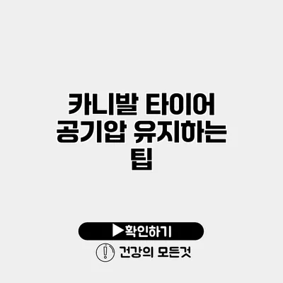 카니발 타이어 공기압 유지하는 팁