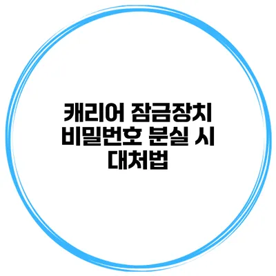 캐리어 잠금장치 비밀번호 분실 시 대처법