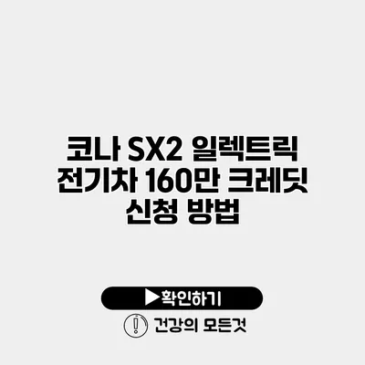 코나 SX2 일렉트릭 전기차 160만 크레딧 신청 방법