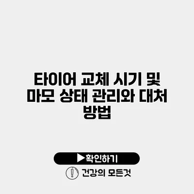 타이어 교체 시기 및 마모 상태 관리와 대처 방법