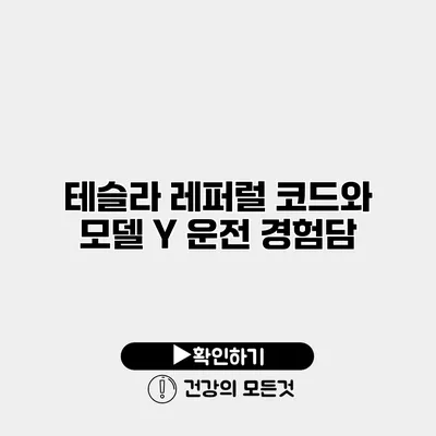 테슬라 레퍼럴 코드와 모델 Y 운전 경험담