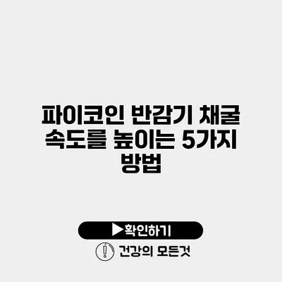 파이코인 반감기 채굴 속도를 높이는 5가지 방법
