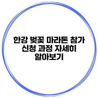 한강 벚꽃 마라톤 참가 신청 과정 자세히 알아보기