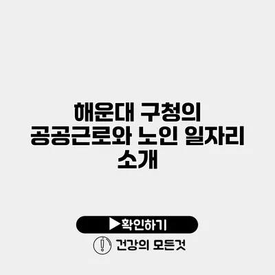 해운대 구청의 공공근로와 노인 일자리 소개
