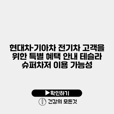 현대차·기아차 전기차 고객을 위한 특별 혜택 안내 테슬라 슈퍼차저 이용 가능성