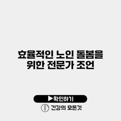효율적인 노인 돌봄을 위한 전문가 조언